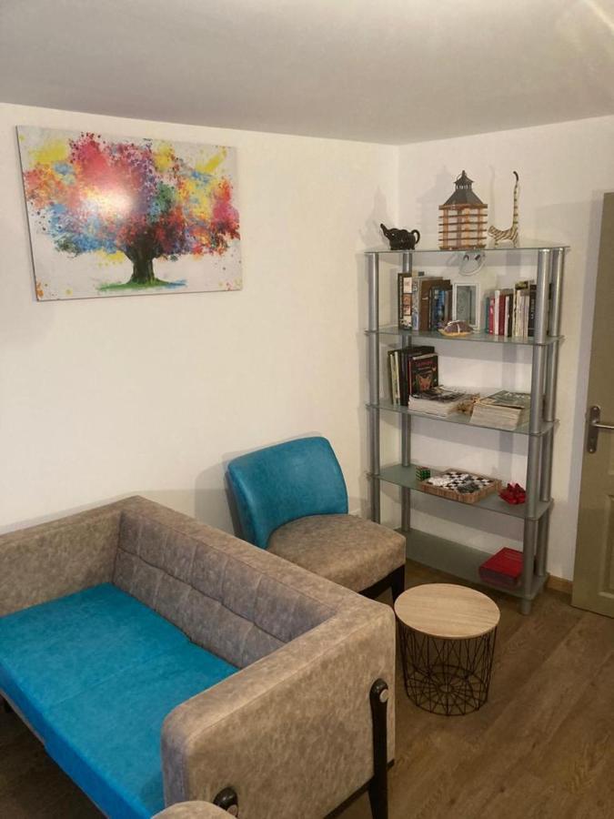 Appartement Plein Pied 45 M2 Baccarat Zewnętrze zdjęcie